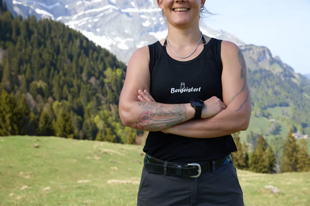 Merino-Top-Hintergrund-Berge.webp